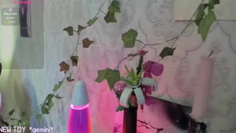 Snapshot of rileynymph chatting on July 25, 2026, 3:15 am My name is Riley Like my broadcast pls 3 online show from July 25, 2026, 3:15 am