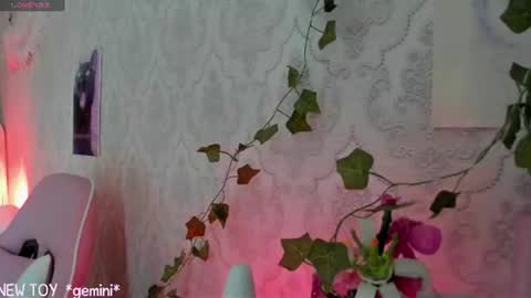 Snapshot of rileynymph chatting on July 26, 2026, 7:26 am My name is Riley Like my broadcast pls 3 online show from July 26, 2026, 7:26 am