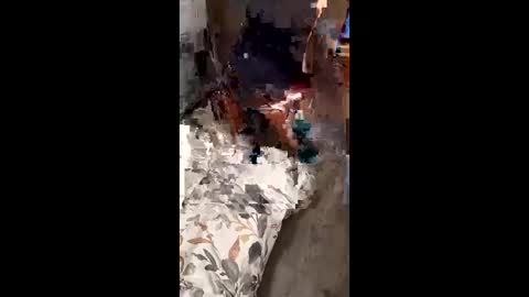 riveraizhim online show from February 15, 2026, 1:41 pm