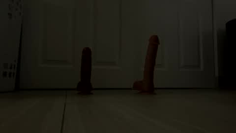 ro8183yguuk online show from October 21, 2025, 9:54 am