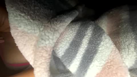 roarmance1 online show from November 12, 2025, 7:31 am