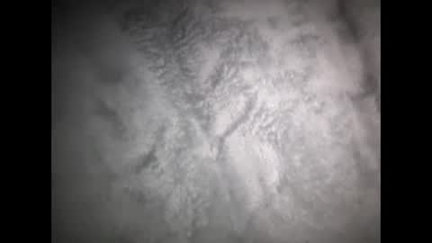 robertsaiz4200 online show from March 15, 2026, 8:31 am