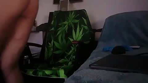 Zenek online show from February 1, 2026, 8:02 am