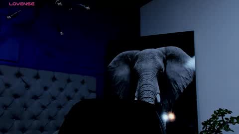 rocco_santos online show from September 17, 2025, 8:27 am