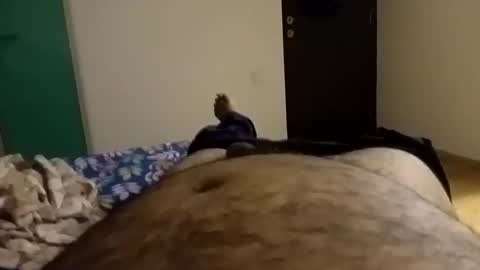 Snapshot of rockikoki chatting on February 9, 2026, 8:02 pm rockikoki online show from February 9, 2026, 8:02 pm