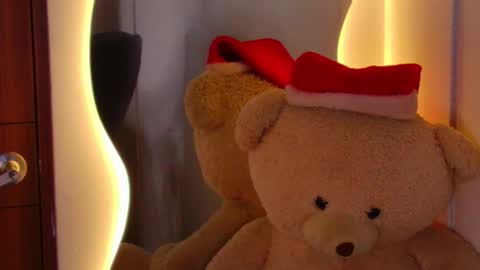 Snapshot of rohanalan_ chatting on December 9, 2024, 3:50 am Sof online show from December 9, 2024, 3:50 am