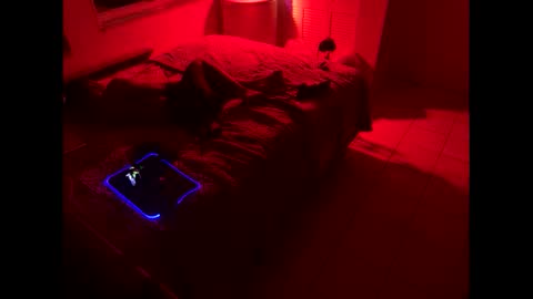 Snapshot of romeotyn chatting on February 21, 2025, 3:01 am romeotyn online show from February 21, 2025, 3:01 am