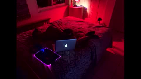 Snapshot of romeotyn chatting on February 21, 2025, 6:07 am romeotyn online show from February 21, 2025, 6:07 am