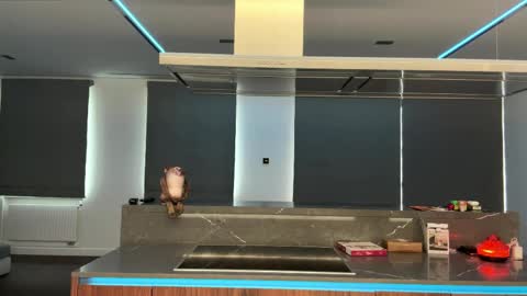 Ketlyn  is here now  help me get 50 thumbs up pls  online show from April 2, 2026, 10:35 am