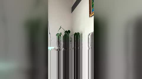 Roni Hall online show from March 29, 2026, 6:08 pm