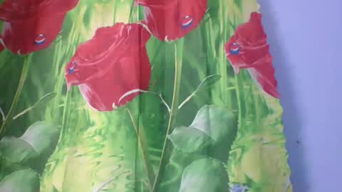 Snapshot of rosah225127 chatting on April 14, 2026, 2:28 am rosah225127 online show from April 14, 2026, 2:28 am