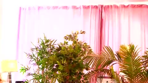 Snapshot of rosaliefleur chatting on July 27, 2026, 8:21 am Rosa online show from July 27, 2026, 8:21 am