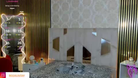 Snapshot of rosalind_tay chatting on September 14, 2025, 11:42 am ROSALIN online show from September 14, 2025, 11:42 am