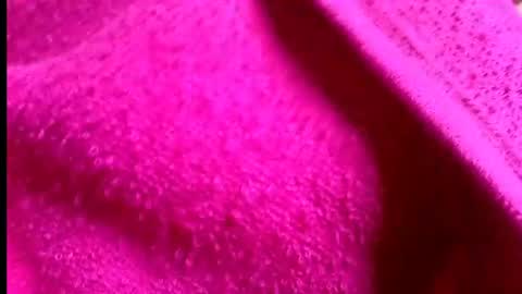 Rosi online show from July 14, 2026, 1:41 am