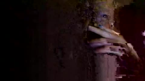 Snapshot of rotorranch chatting on October 2, 2025, 6:31 am rotorranch online show from October 2, 2025, 6:31 am