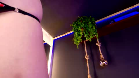 Snapshot of roxxxevelvet chatting on November 30, 2025, 10:47 pm Roxx IG online show from November 30, 2025, 10:47 pm