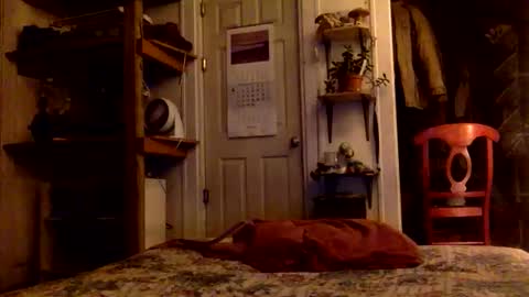 Snapshot of rp131313 chatting on November 15, 2025, 8:11 am rp131313 online show from November 15, 2025, 8:11 am