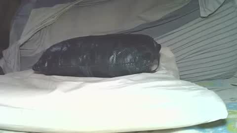 Snapshot of rudisuzzy chatting on June 4, 2026, 6:14 pm rudisuzzy 1 online show from June 4, 2026, 6:14 pm