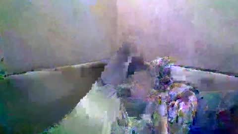 Snapshot of rusqadisx chatting on July 17, 2026, 6:35 pm rusqadisx online show from July 17, 2026, 6:35 pm
