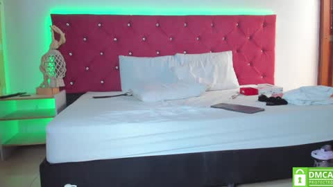 Snapshot of ruth_harvey chatting on February 6, 2025, 3:31 pm Ruth online show from February 6, 2025, 3:31 pm