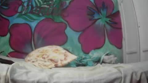Javier online show from July 20, 2026, 12:58 am