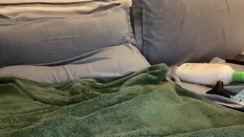 Snapshot of ryanstann4 chatting on January 2, 2025, 5:57 am Ryan online show from January 2, 2025, 5:57 am