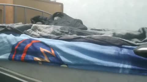 arte online show from January 30, 2025, 7:48 pm