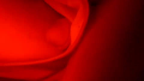 ryucravenmore online show from October 5, 2025, 1:09 pm