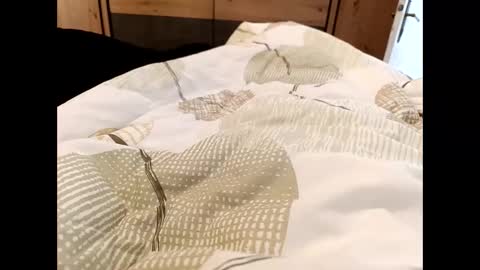 s_xp__ online show from December 19, 2025, 11:28 am