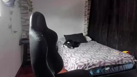 Danny online show from November 2, 2025, 2:19 pm