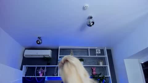 Sabrina online show from March 29, 2026, 5:29 am