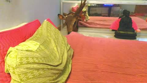 xxSeXSouLxx online show from May 30, 2026, 1:57 am