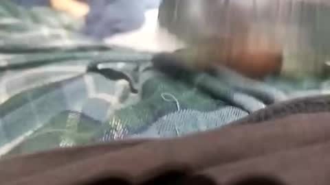 Snapshot of sagozure chatting on October 5, 2025, 1:59 am sagozure online show from October 5, 2025, 1:59 am