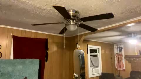 PupTwink online show from October 10, 2025, 2:10 am