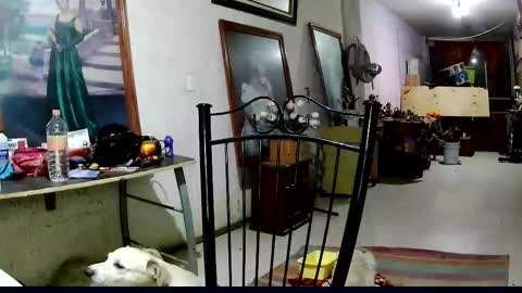 Snapshot of sailor_ruby7 chatting on November 18, 2025, 12:16 am ruby chocoholic cakeholic coffeeholic cookieholic online show from November 18, 2025, 12:16 am