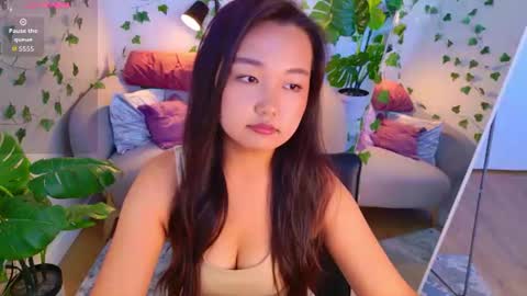 Sakura online show from July 17, 2026, 6:31 am
