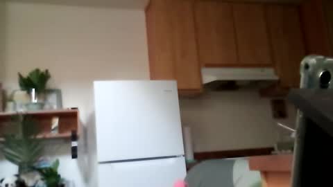 Snapshot of salis1981 chatting on October 13, 2025, 9:15 pm salis1981 online show from October 13, 2025, 9:15 pm