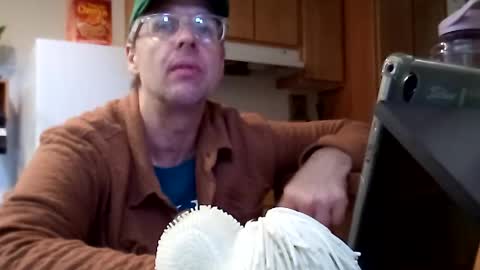 Snapshot of salis1981 chatting on November 21, 2025, 7:01 pm salis1981 online show from November 21, 2025, 7:01 pm