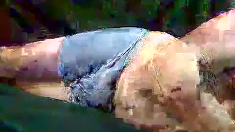 sam5554401727 online show from November 10, 2025, 6:40 pm