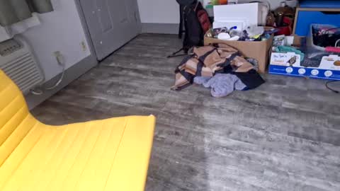 samboiamtho online show from January 3, 2025, 6:11 am