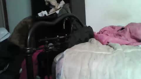 Samedisamedi1nouveau online show from December 5, 2025, 5:42 pm