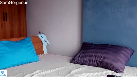 Snapshot of samgorgeous chatting on December 28, 2024, 6:17 am Fansly - Top4fans online show from December 28, 2024, 6:17 am