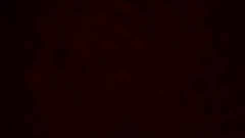 samueltal online show from February 10, 2026, 12:26 am