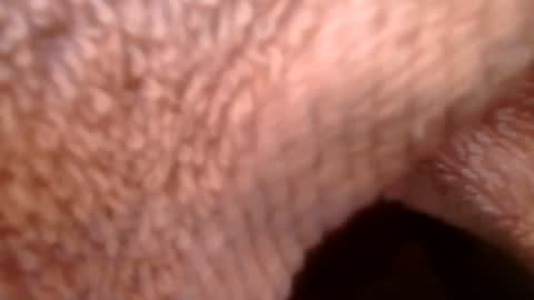 samueltal online show from February 21, 2026, 9:21 am