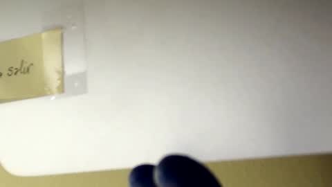 sanbig69 online show from December 6, 2024, 5:11 pm