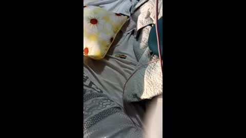 Snapshot of sanderray3 chatting on February 12, 2026, 8:09 am ShynNkd online show from February 12, 2026, 8:09 am