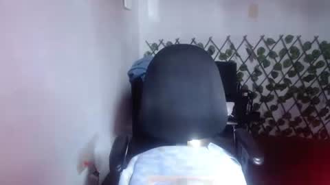 tania online show from July 24, 2026, 8:40 pm