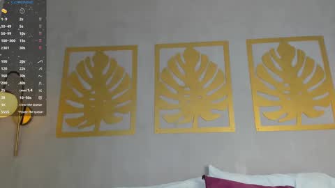 Sara online show from December 29, 2024, 12:34 pm