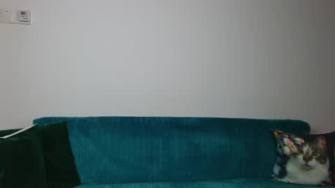 Snapshot of sara_daisy chatting on April 30, 2026, 6:09 am Im Sara I am happy to be here online show from April 30, 2026, 6:09 am