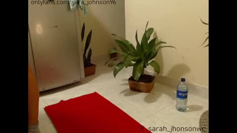 sara_johnson__ online show from December 27, 2024, 5:48 pm